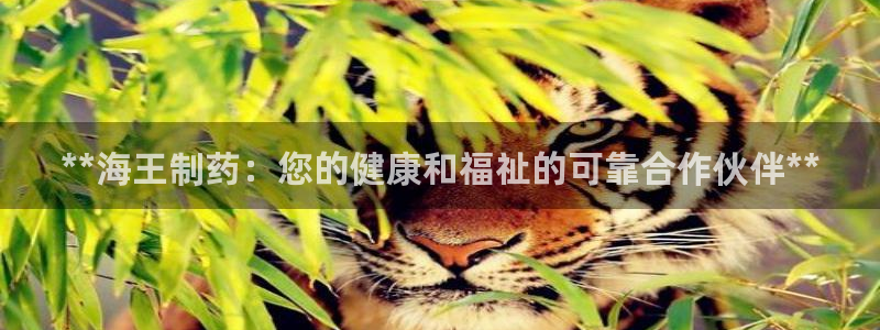 老哥俱乐部是干什么的啊：**海王制药：您的健康和福祉的可靠合作伙伴**