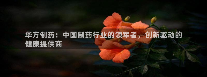 九游会老哥必备的交流社区：华方制药：中国制药行业的领军者，创新驱动的
健康提供商