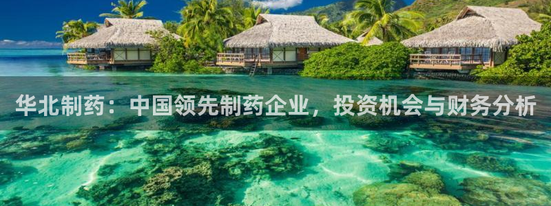 j9九游会老哥俱乐部交流区：华北制药：中国领先制药企业，投资机会与财务分析