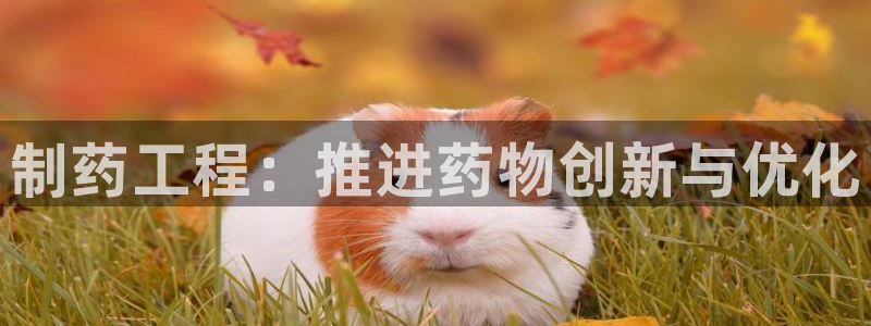 9游会老哥俱乐部：制药工程：推进药物创新与优化
