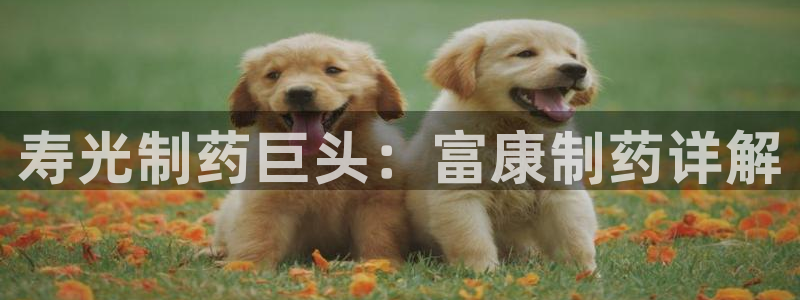 九游会老哥俱乐部官方网站：寿光制药巨头：富康制药详解