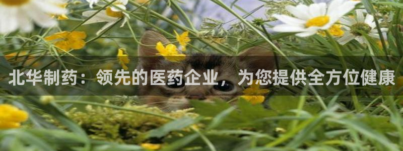 usdt九游会老哥俱乐部：北华制药：领先的医药企业，为您提供全方位健康