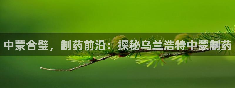 ag九游会老哥：中蒙合璧，制药前沿：探秘乌兰浩特中蒙制药