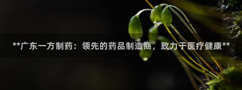 九游会老哥俱乐部官网：**广东一方制药：领先的药品制造商，致力于医疗健康**
