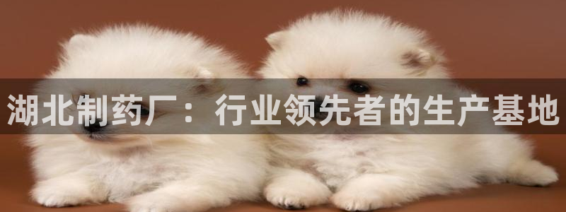 九游会老哥俱乐部交流社区
