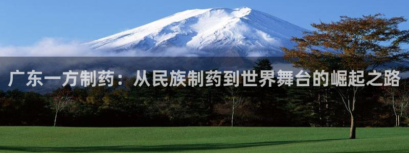 老哥吧九游会：广东一方制药：从民族制药到世界舞台的崛起之路