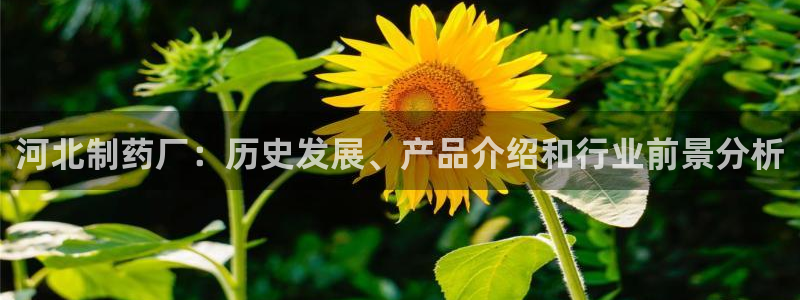 九游会老哥俱乐部官网首页：河北制药厂：历史发展、产品介绍和行业前景分析