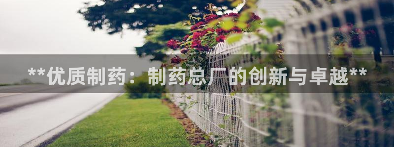 九游老哥俱乐部官网登录入口：**优质制药：制药总厂的创新与卓越**