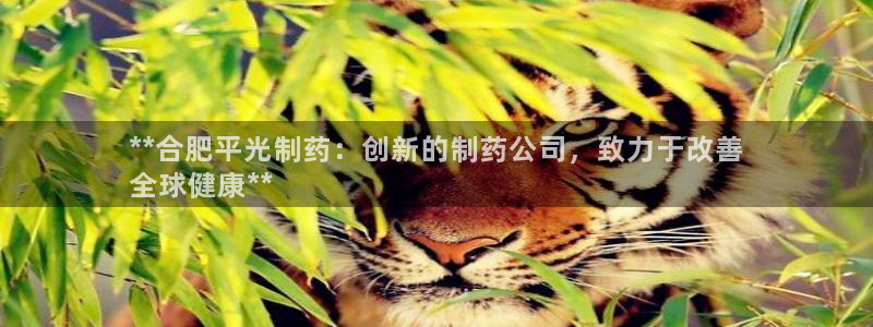 九游老哥俱乐部官网登录：**合肥平光制药：创新的制药公司，致力于改善
全球健康**