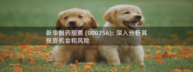 九游会老哥俱乐部官网首页：新华制药股票 (000756): 深入分析其
投资机会和风险