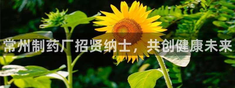 9游会老哥：常州制药厂招贤纳士，共创健康未来