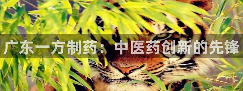 老哥俱乐部是干什么的：广东一方制药：中医药创新的先锋
