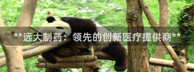 九游会老哥俱乐部官网首页论坛：**远大制药：领先的创新医疗提供商**