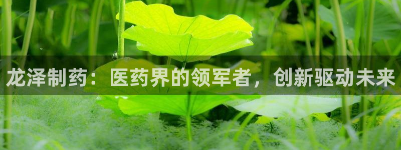 九游会老哥：龙泽制药：医药界的领军者，创新驱动未来