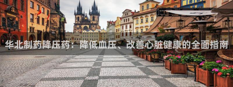 老哥吧九游会下架吗：华北制药降压药：降低血压、改善心脏健康的全面指南