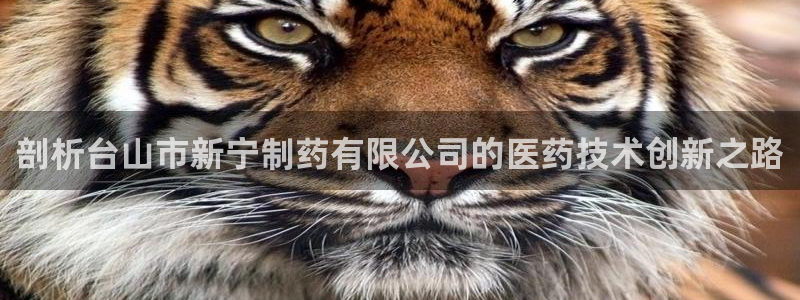 ag九游会老哥：剖析台山市新宁制药有限公司的医药技术创新之路