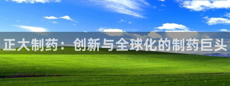 九游会老哥俱乐部：正大制药：创新与全球化的制药巨头