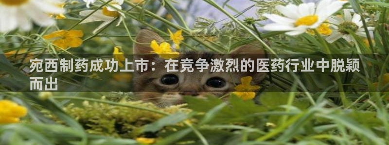 九游老哥俱乐部官网登录不了：宛西制药成功上市：在竞争激烈的医药行业中脱颖
而出