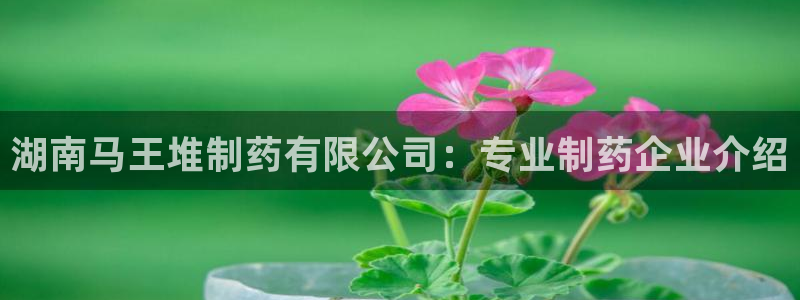 九游会老哥必备的交流社区：湖南马王堆制药有限公司：专业制药企业介绍