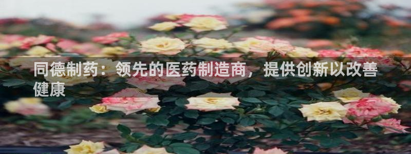 ag九游会老哥俱乐部：同德制药：领先的医药制造商，提供创新以改善
健康