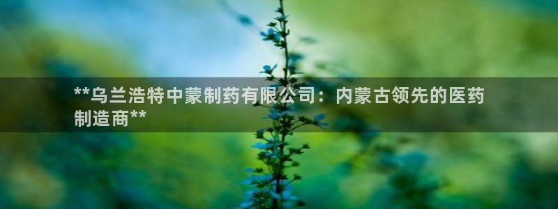 九游会老哥：**乌兰浩特中蒙制药有限公司：内蒙古领先的医药
制造商**